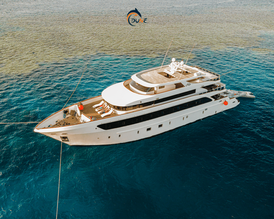 CROISIERE DAUPHINS bateau au lagon